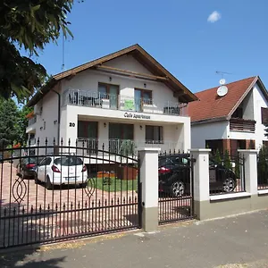 Csilla Hajdúszoboszló
